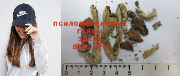 ALPHA PVP Арсеньев