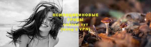 ALPHA PVP Арсеньев